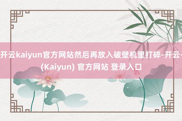 开云kaiyun官方网站然后再放入破壁机里打碎-开云·(Kaiyun) 官方网站 登录入口