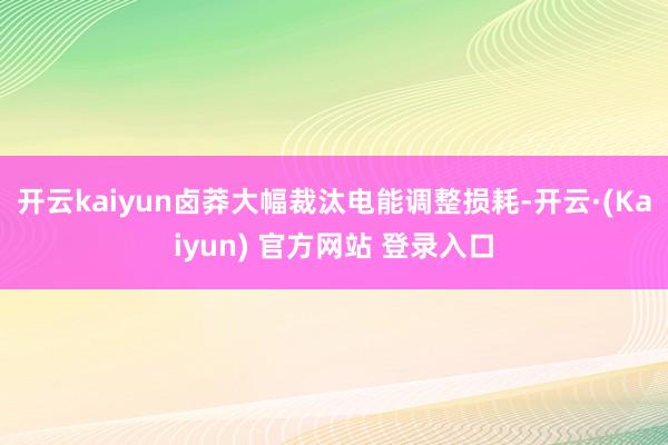 开云kaiyun卤莽大幅裁汰电能调整损耗-开云·(Kaiyun) 官方网站 登录入口