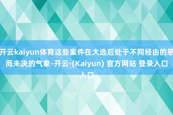 开云kaiyun体育这些案件在大选后处于不同经由的悬而未决的气象-开云·(Kaiyun) 官方网站 登录入口