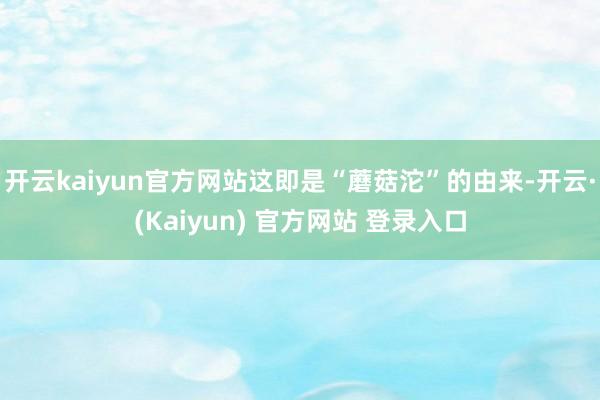 开云kaiyun官方网站这即是“蘑菇沱”的由来-开云·(Kaiyun) 官方网站 登录入口